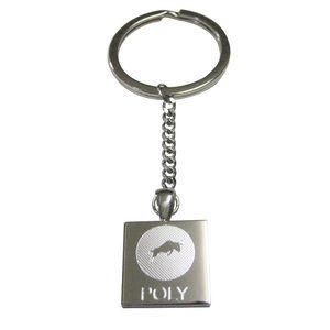 Polymath Coin POLY Cryptocurrency Blockchain Pendant Keychain